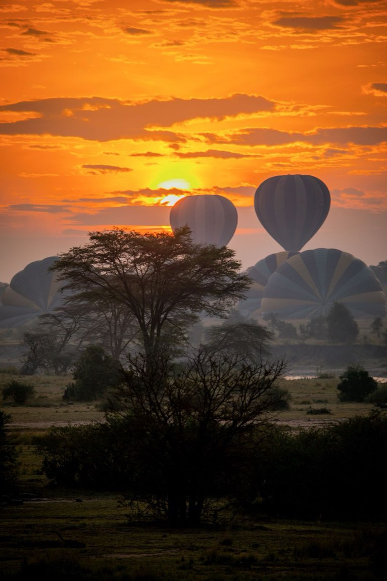 Balloons rising · Serengeti